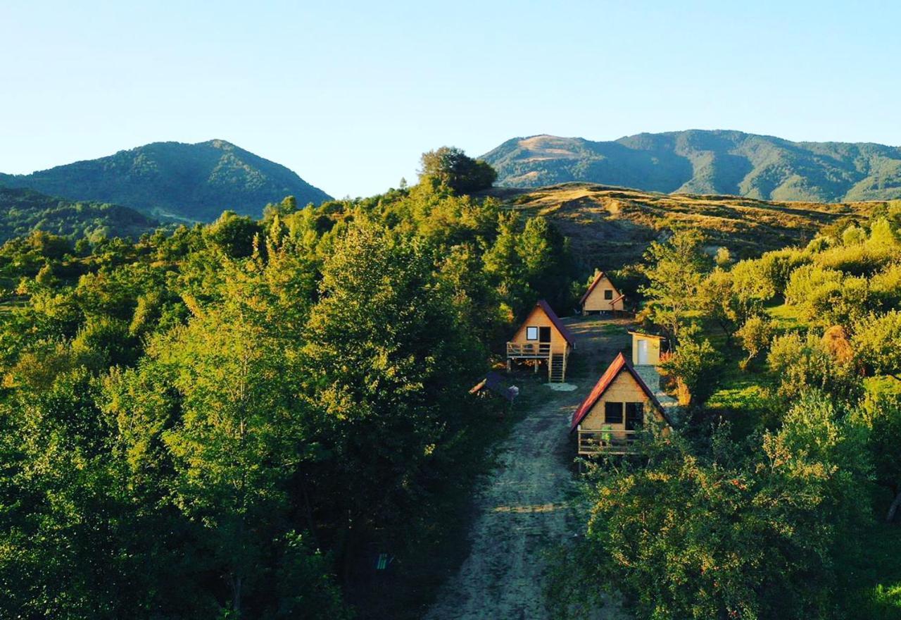 Cabanele Lu' Dinu Curtea de Argeş Buitenkant foto