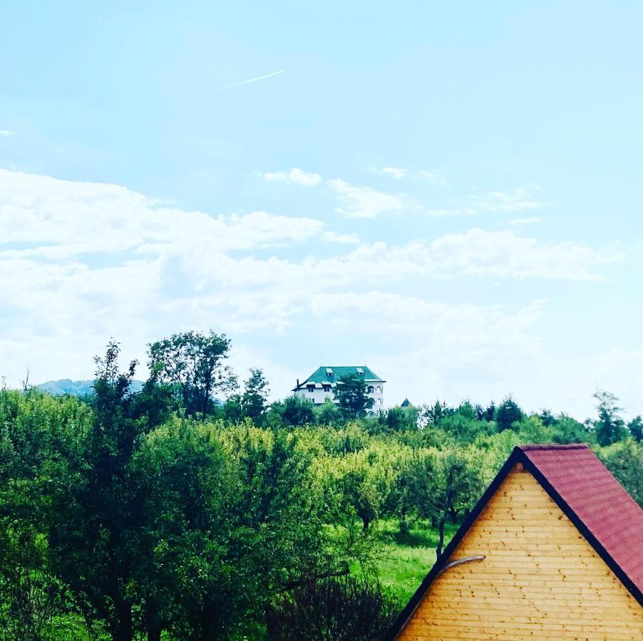 Cabanele Lu' Dinu Curtea de Argeş Buitenkant foto