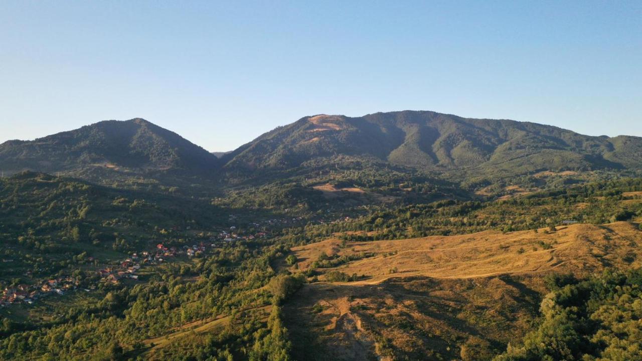 Cabanele Lu' Dinu Curtea de Argeş Buitenkant foto