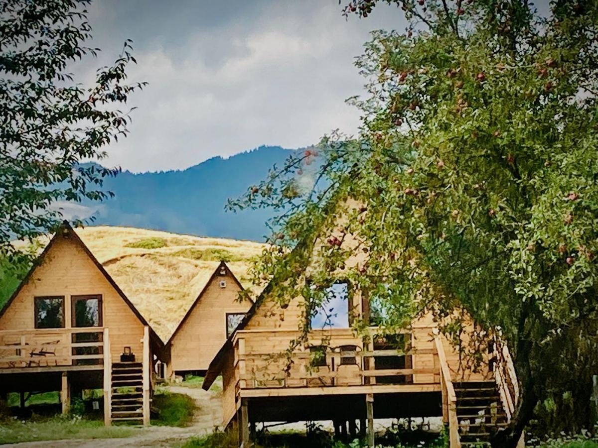 Cabanele Lu' Dinu Curtea de Argeş Buitenkant foto