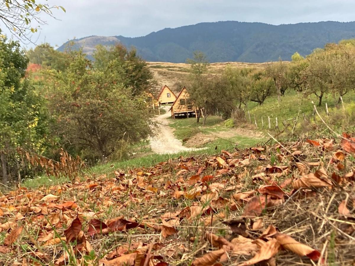 Cabanele Lu' Dinu Curtea de Argeş Buitenkant foto