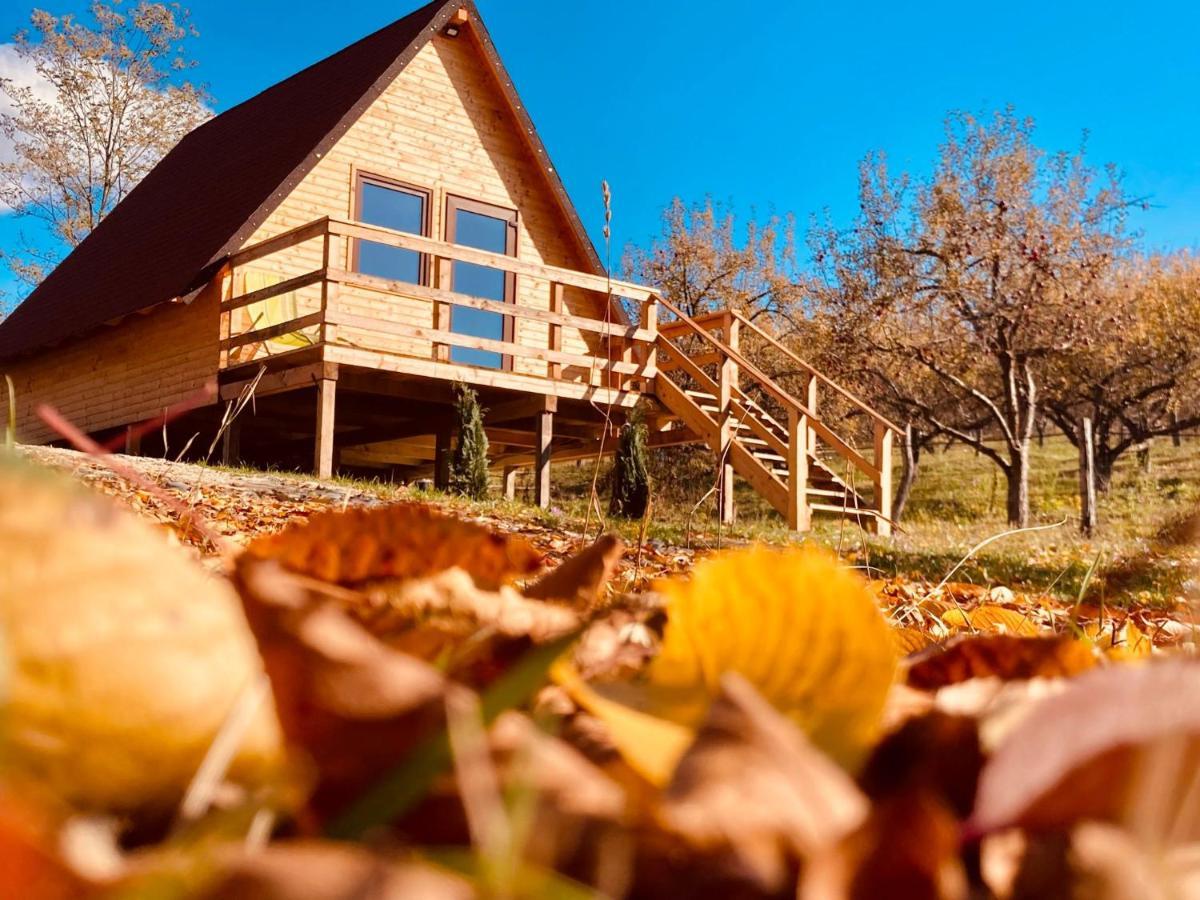 Cabanele Lu' Dinu Curtea de Argeş Buitenkant foto