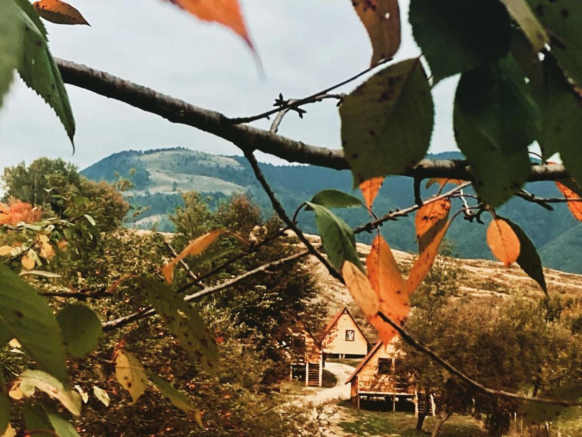 Cabanele Lu' Dinu Curtea de Argeş Buitenkant foto