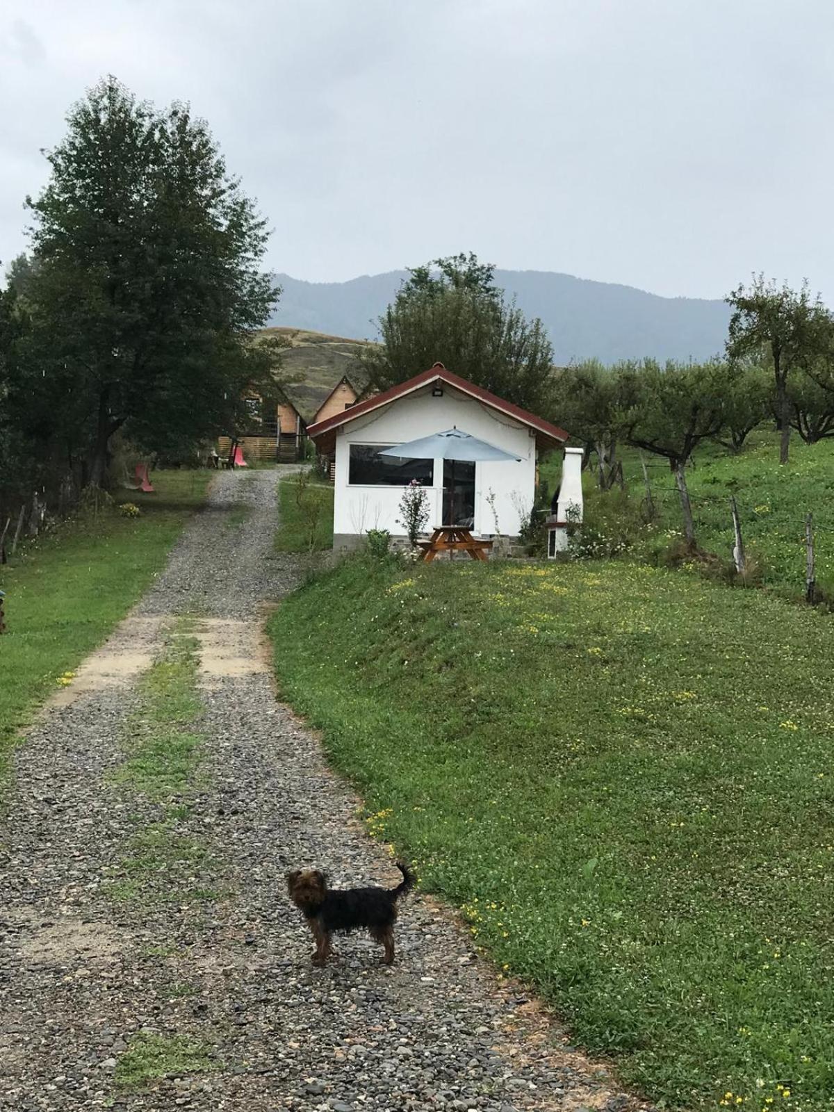 Cabanele Lu' Dinu Curtea de Argeş Buitenkant foto